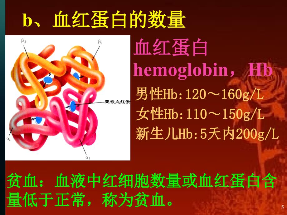 生理学第三章-血液-第三节--红细胞_第4页