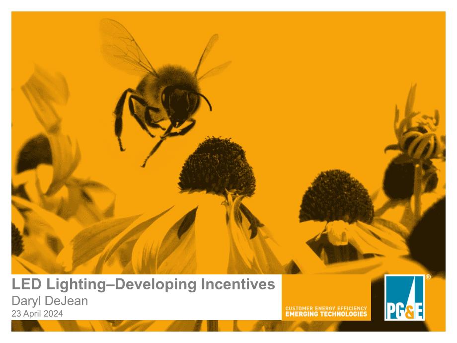 LED_Lighting–Developing_Incentives_第1页