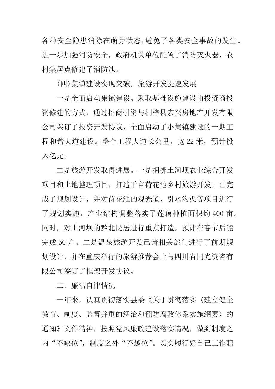 年镇委副书记镇长述职述廉报告_第5页