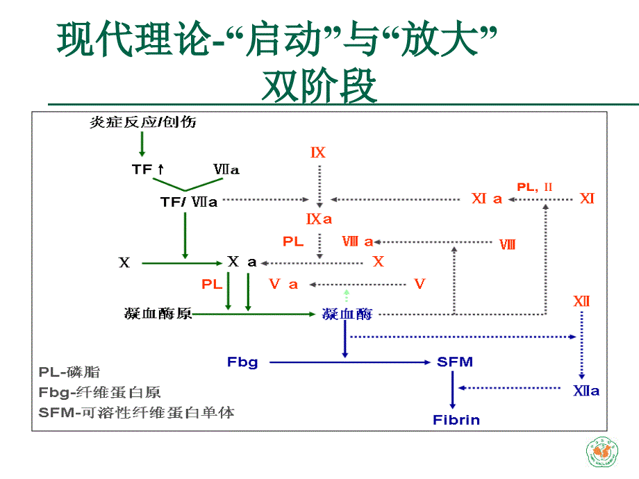 重症医学资质培训-重症病人凝血紊乱(获得性凝血病)_第4页