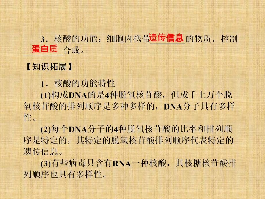 高考生物一轮总复习 第四课时 遗传信息携带者核酸课件 新人教必修1_第4页