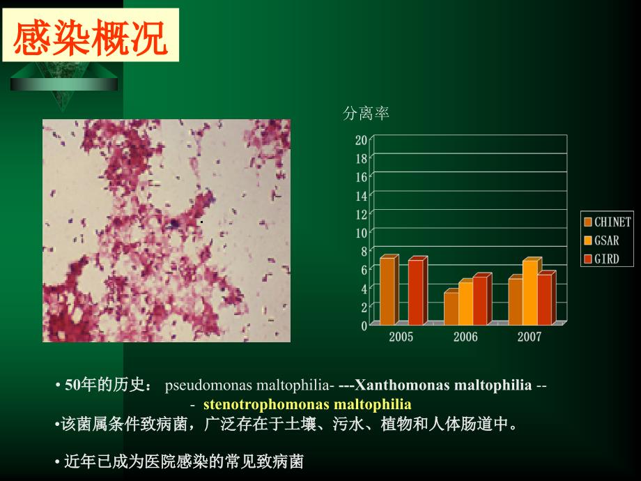 嗜麦芽窄食单胞菌基础和临床进展_第3页