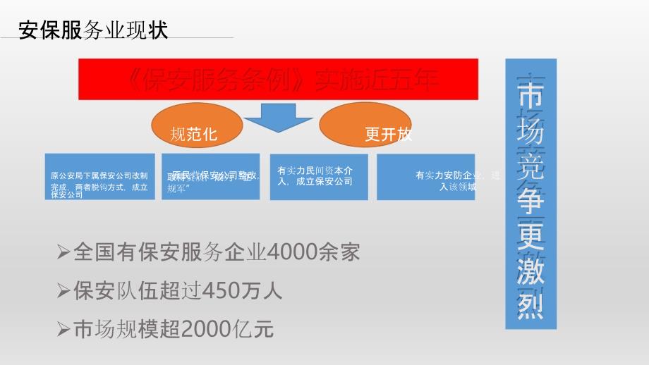 某安保公司智慧安保方法推广手册（产品详案）_第3页