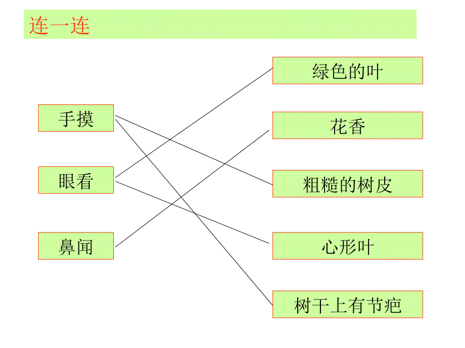 三年级上科学课件-实践园地_教科版_第2页