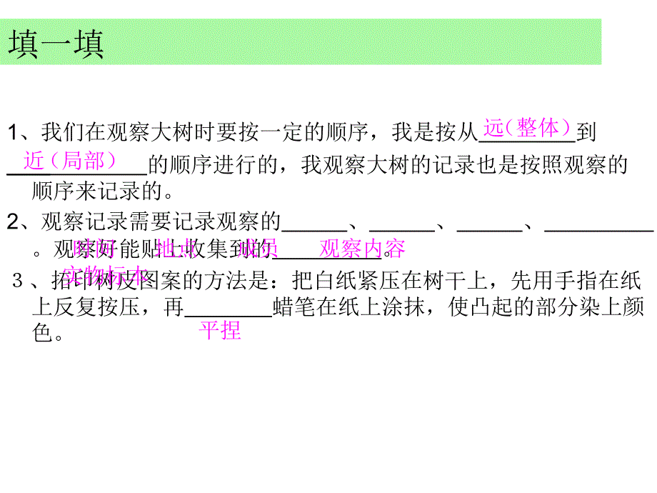 三年级上科学课件-实践园地_教科版_第3页