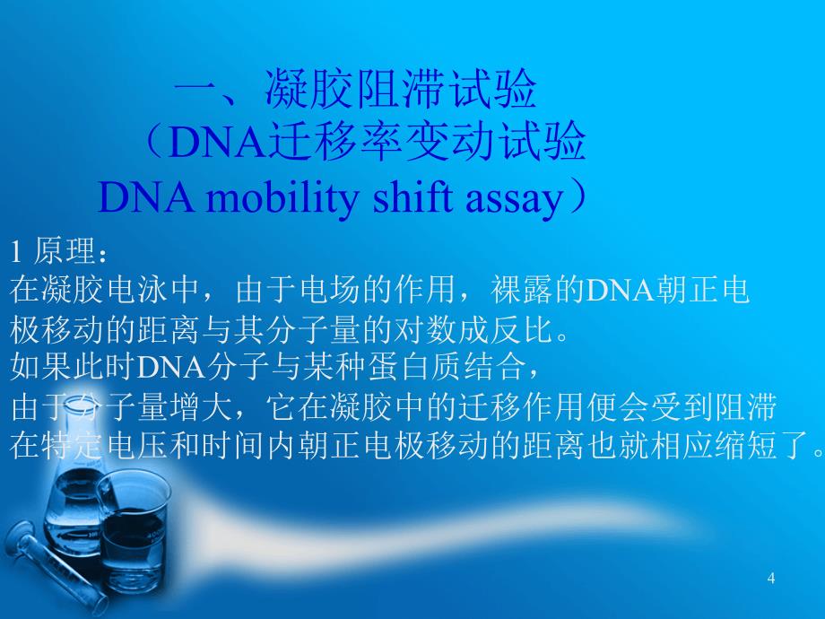 DNA蛋白质的相互作用PPT课件_第4页