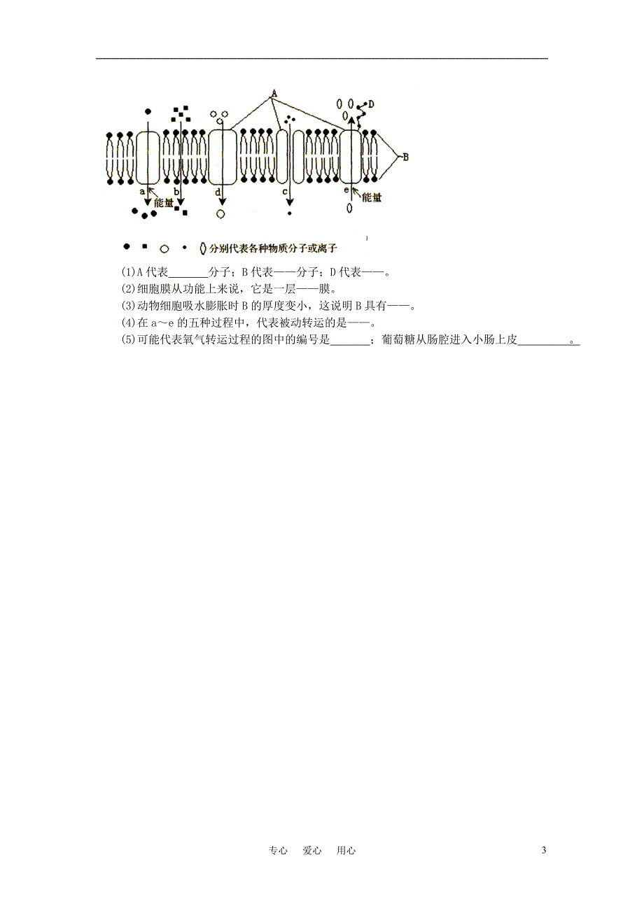 高中生物 《细胞膜的物质运输功能》学案2 中图版必修1_第3页