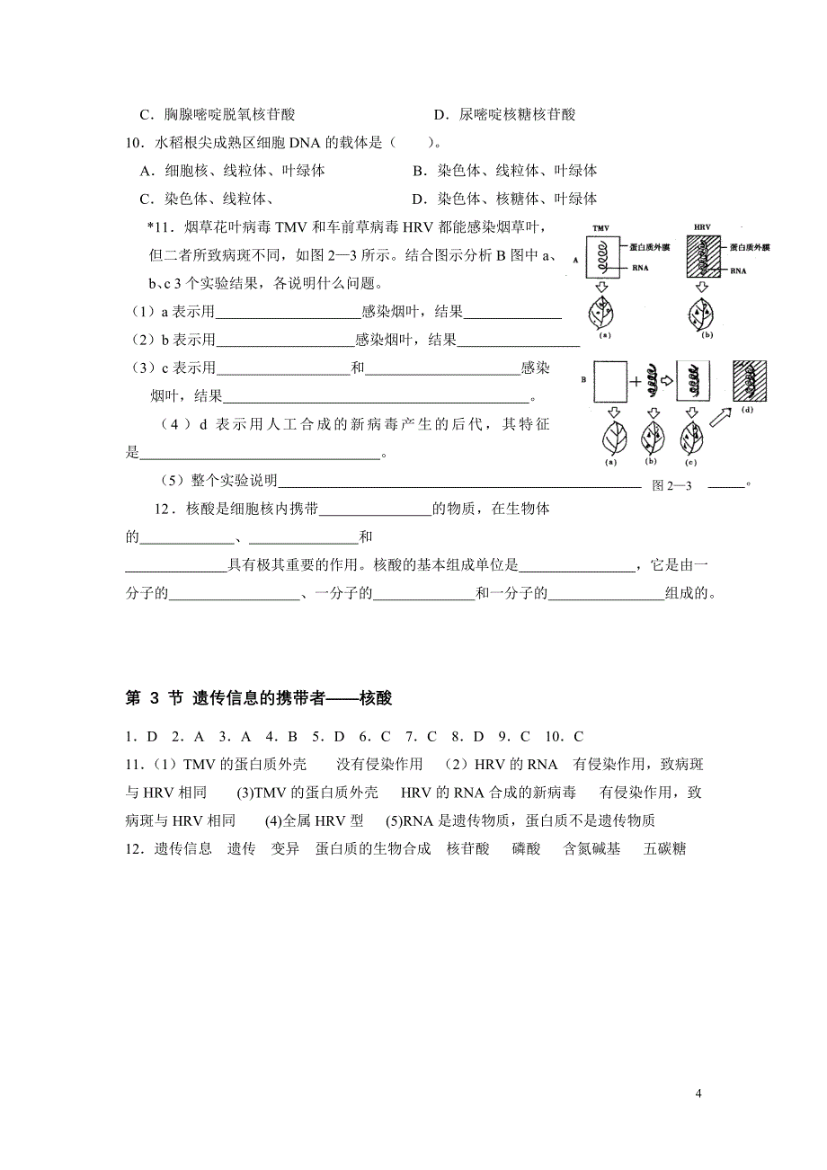 高中生物《遗传信息的携带者--核酸》学案3 新人教版必修1_第4页