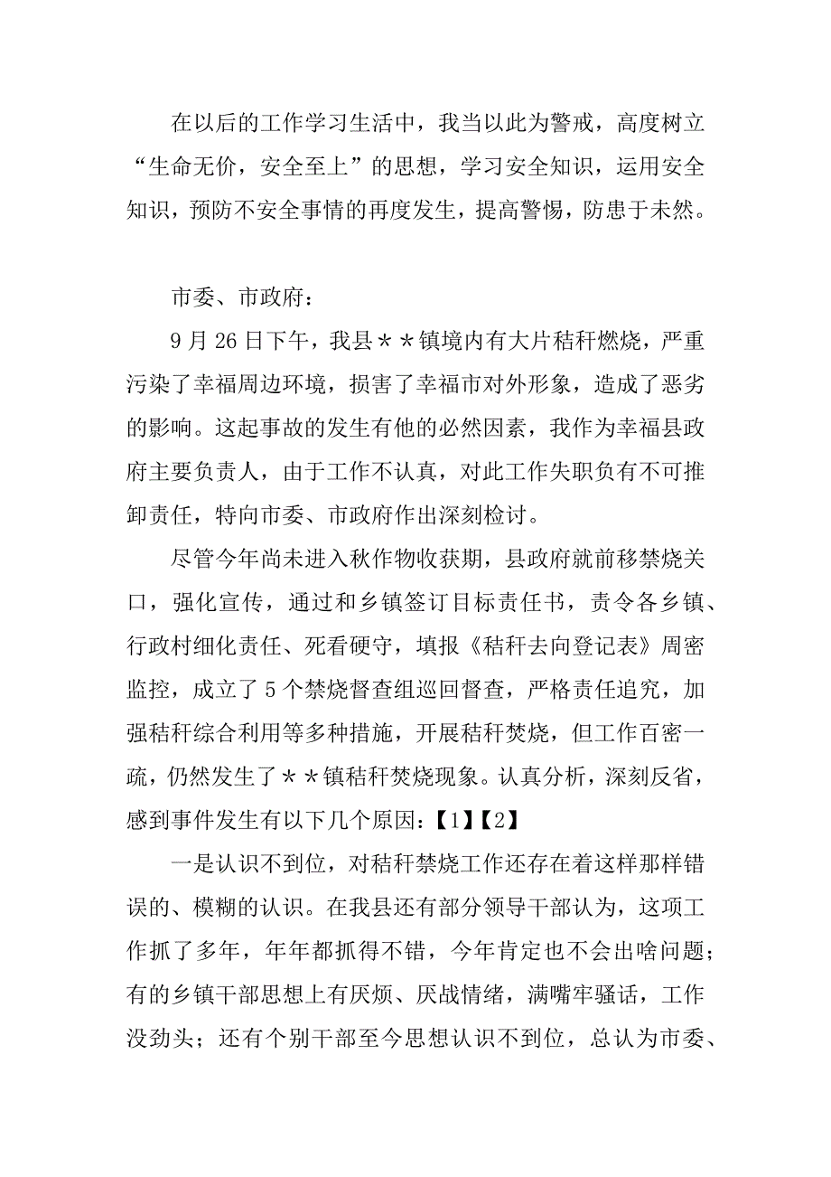 工作检讨书格式_1_第3页