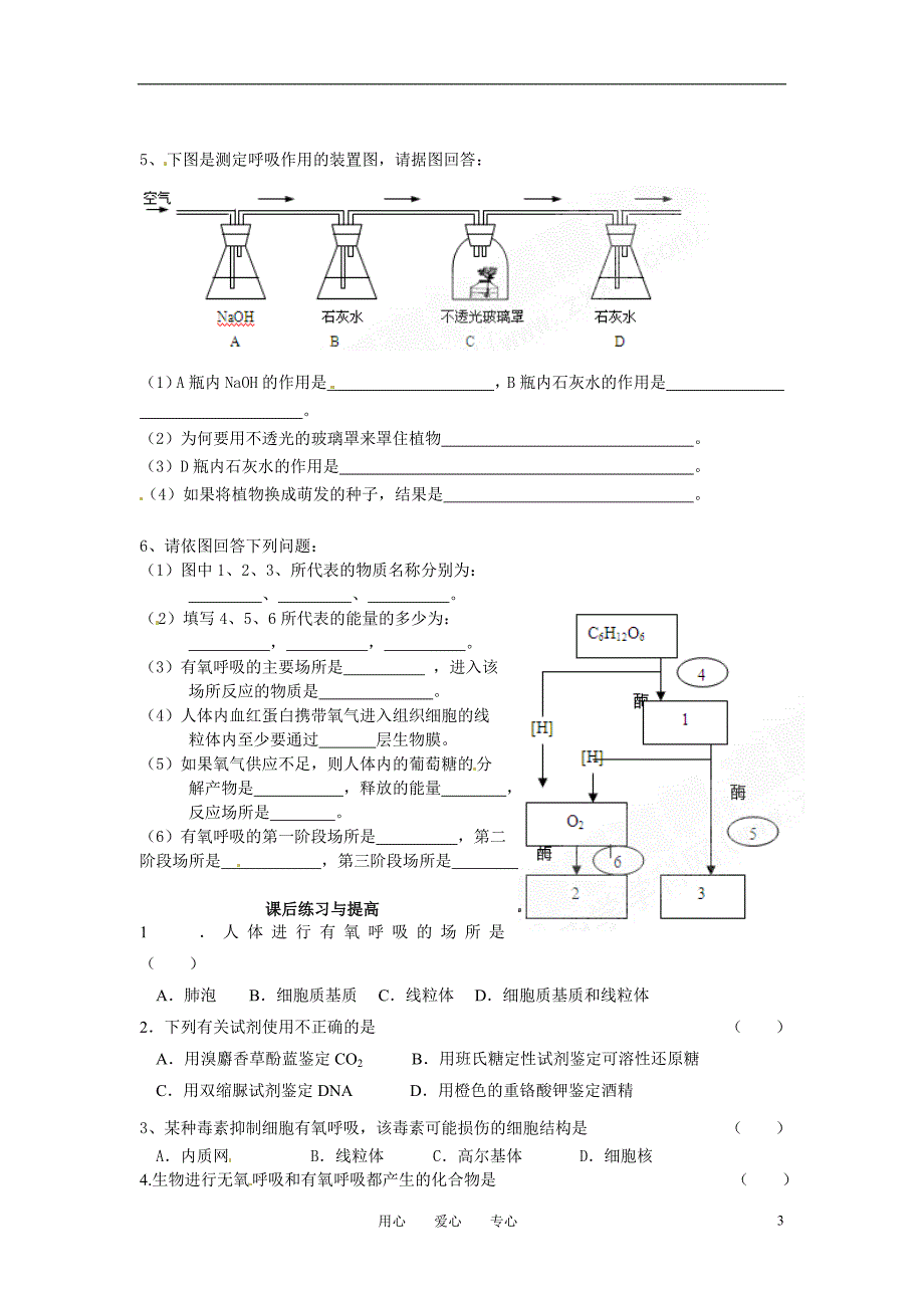 高中生物 《ATP的主要来源-细胞呼吸》导学案 新人教版必修1_第3页