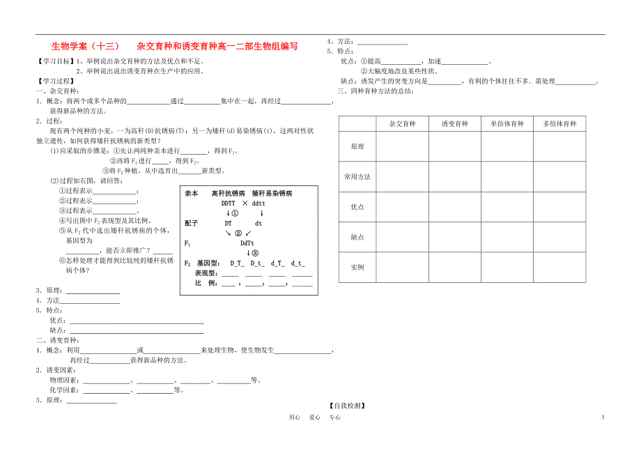 高中生物 杂交育种和诱变育种学案 新人教版必修2_第1页