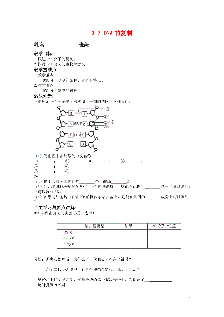 高中生物 3-3 DNA分子的复制学案 人教版必修2_第1页