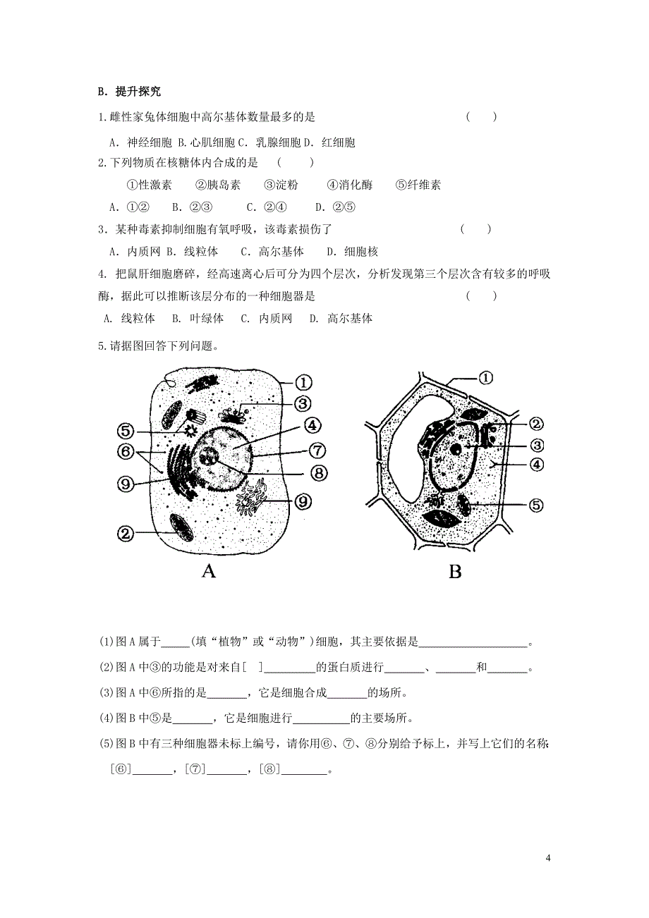 高中生物《细胞的类型和结构》学案6 苏教版必修1_第4页