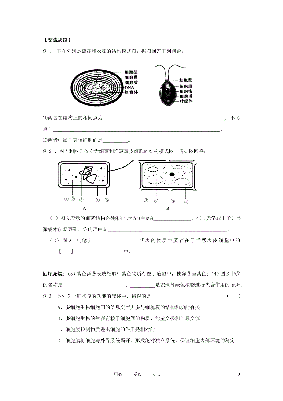 高中生物《细胞的类型和结构》学案5 苏教版必修1_第3页