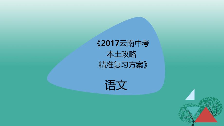 中考语文 记叙文精准复习课件_第1页