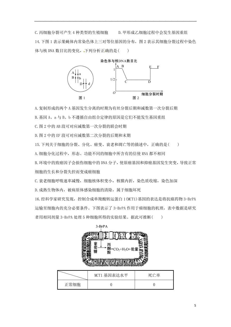 高三生物11月月考（期中）试题_第5页