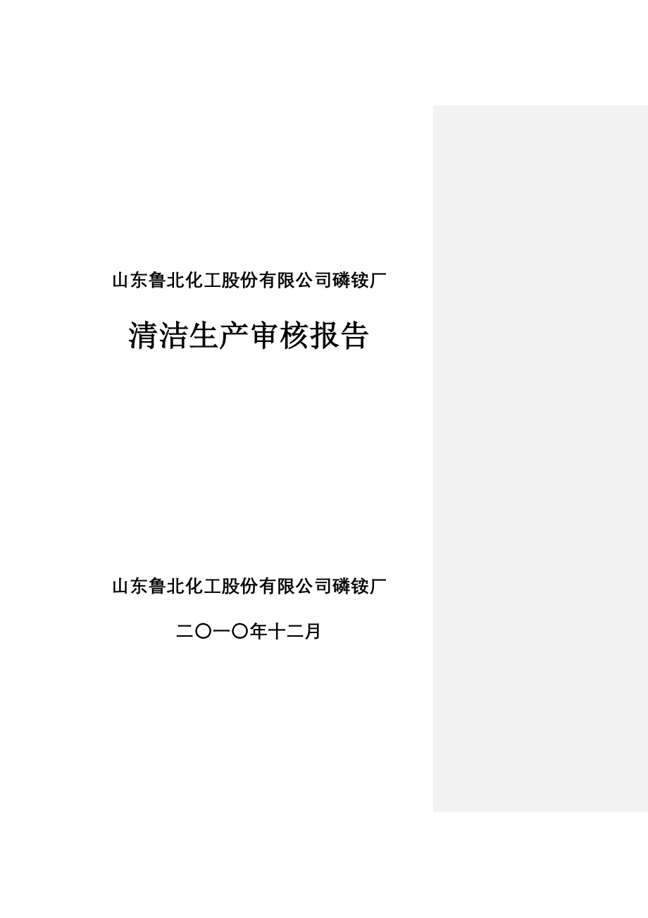 鲁北化工股份有限公司磷铵厂清洁生产审核报告_第1页