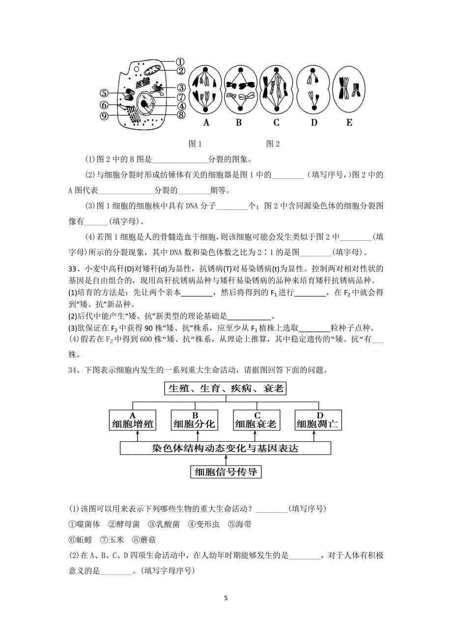 【生物】广东省顺德市勒流中学2012-2013学年高一下学期期中考试_第5页