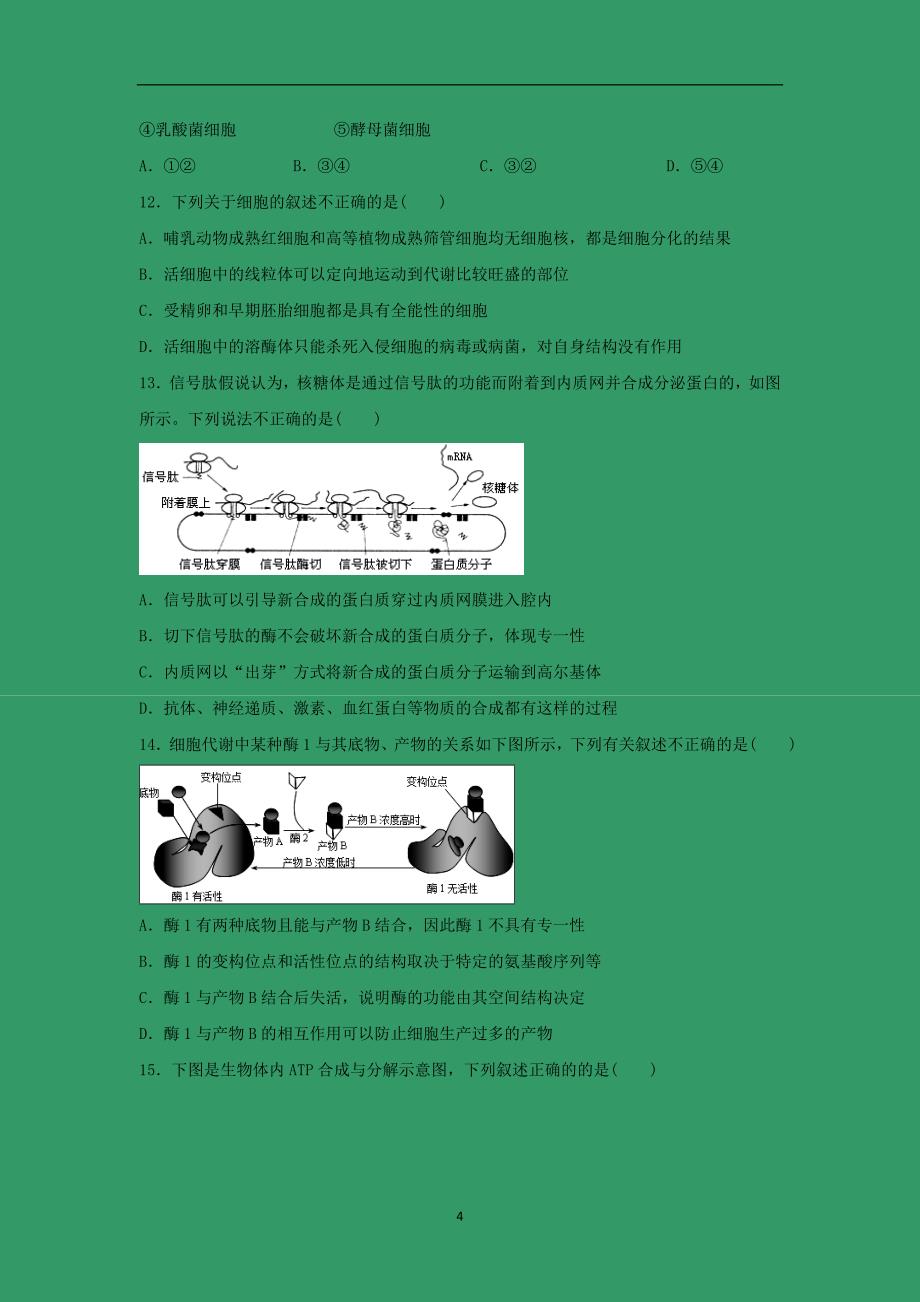 【生物】河北省2015届高三上学期期中考试_第4页
