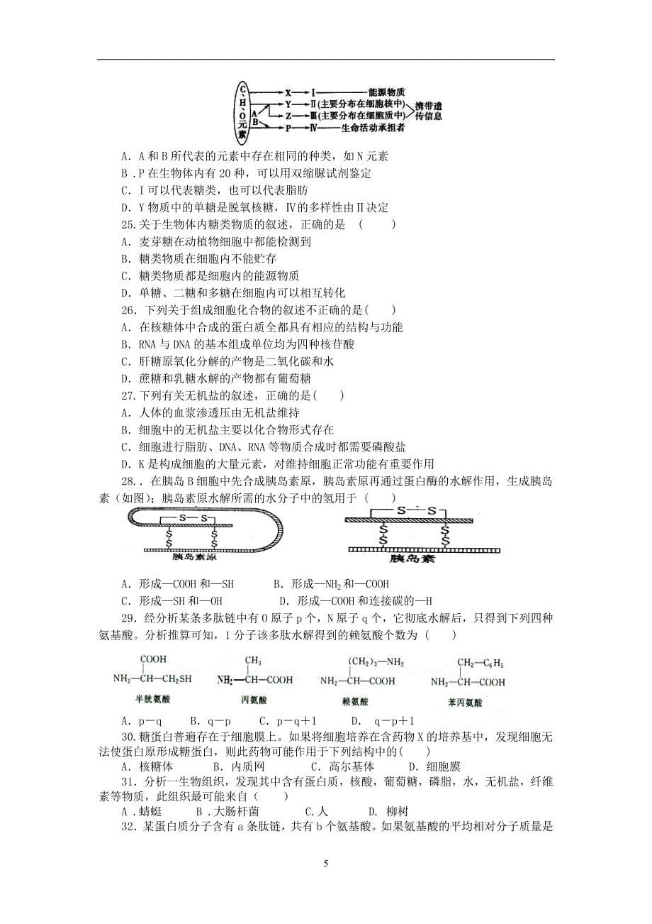 【生物】山东省临沂市郯城一中2013-2014学年高一上学期期中考试试题04_第5页