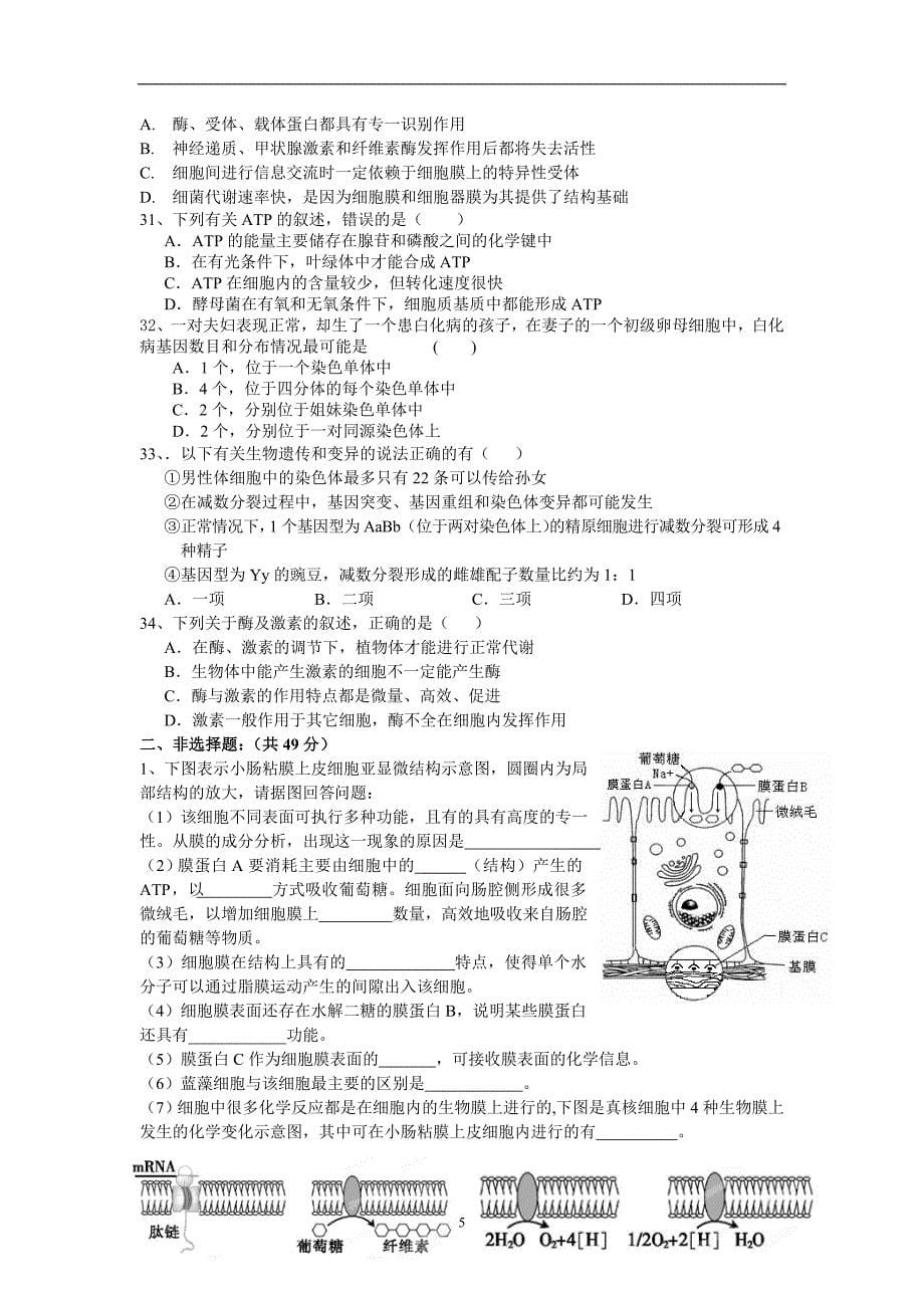 【生物】江西省赣州市十二县（市）重点中学2014届高三上学期期中考试试题09_第5页