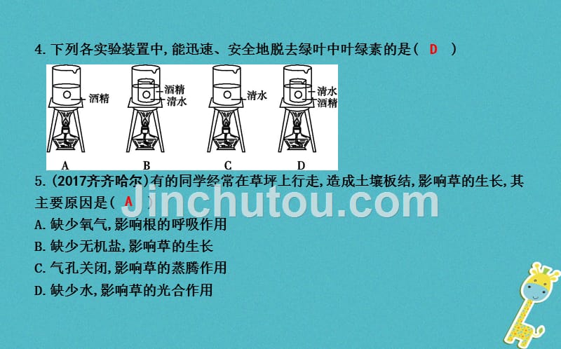 2018年七年级生物上册 周末巩固练（五）（第三单元第四、五章）复习课件 （新版）新人教版_第3页