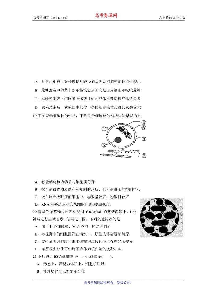 福建省永春县第一中学2017-2018学年高二下学期期末考试生物试题含答案_第5页