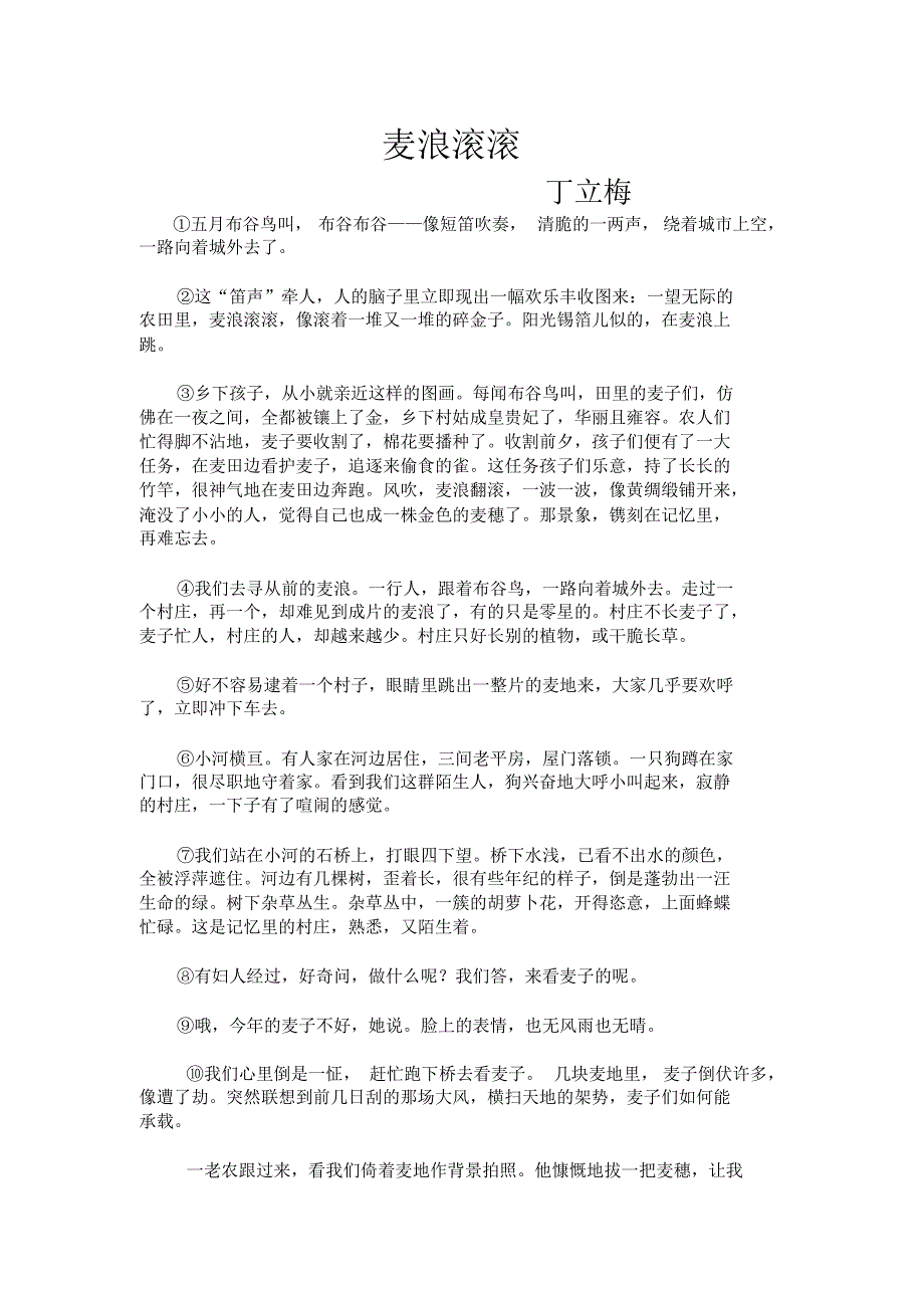 麦浪滚滚丁立梅_第1页