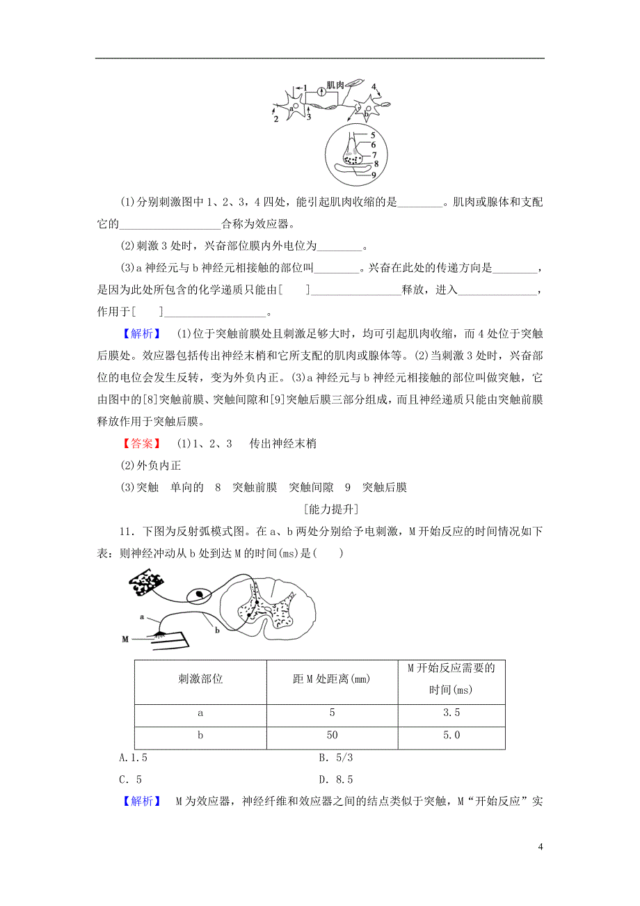 高中生物动物和人体生命活动的调节 第1节 通过神经系统的调节（课时2）兴奋在神经元之间的传递、神经系统的分级调节及人脑的高级功能学业分层测评版_第4页