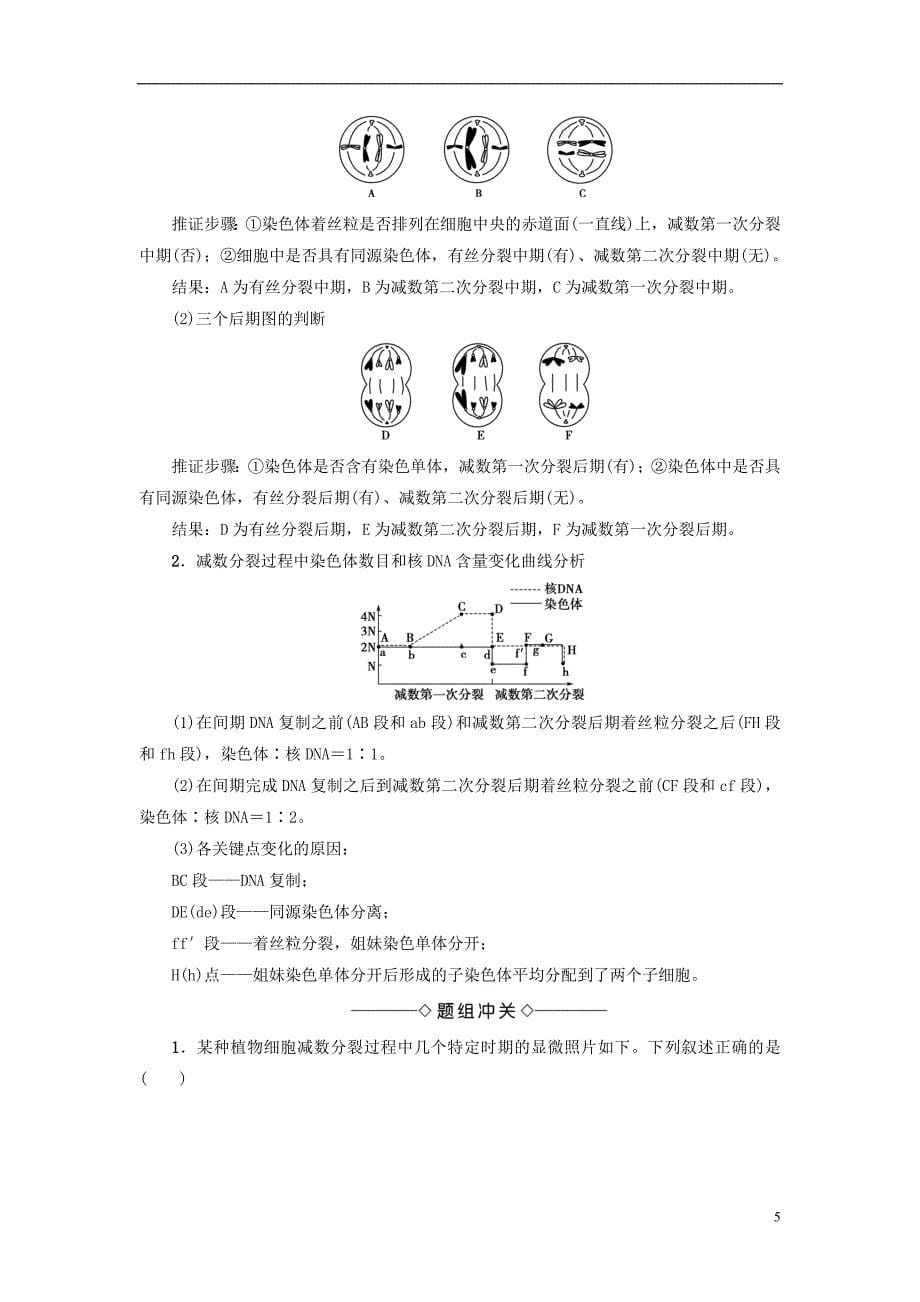 高中生物染色体与遗传 第1节 减数分裂中的染色体行为（Ⅰ）学案 浙科版_第5页