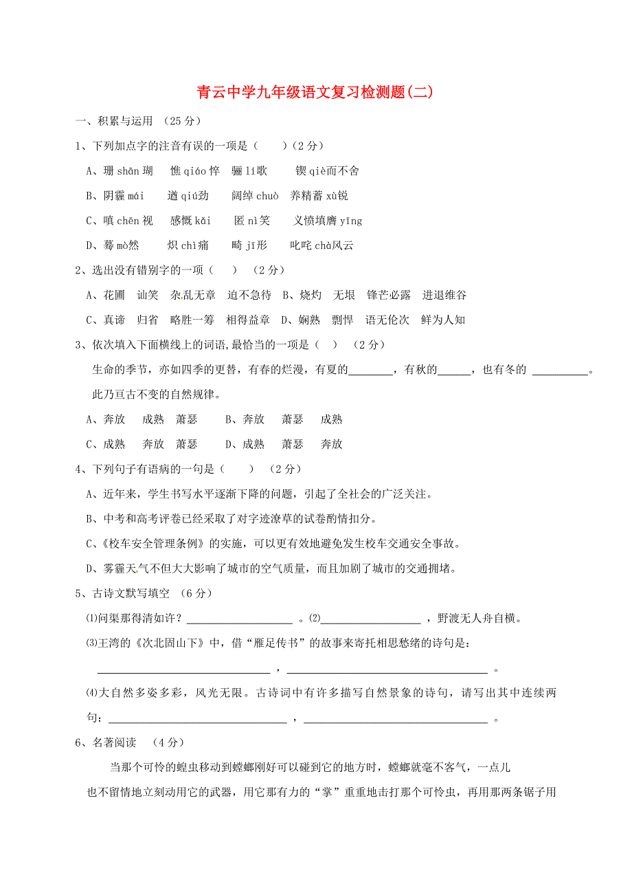 九年级语文复习检测题（二）_第1页