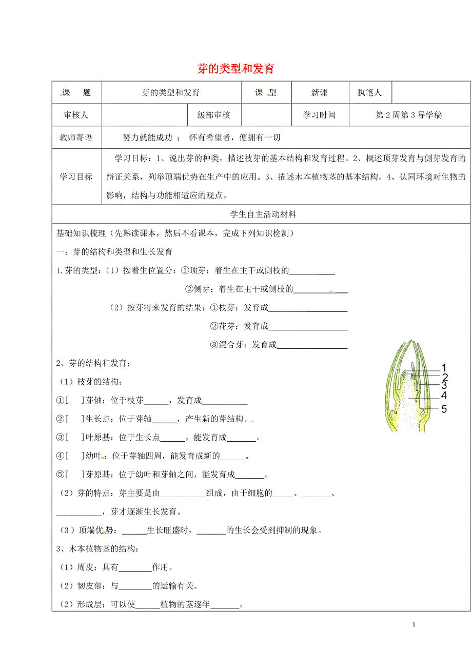 八年级生物4_1_6 芽的类型和发育学案济南版_第1页