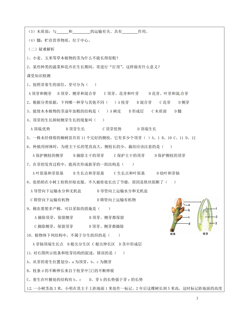 八年级生物4_1_6 芽的类型和发育学案济南版_第2页