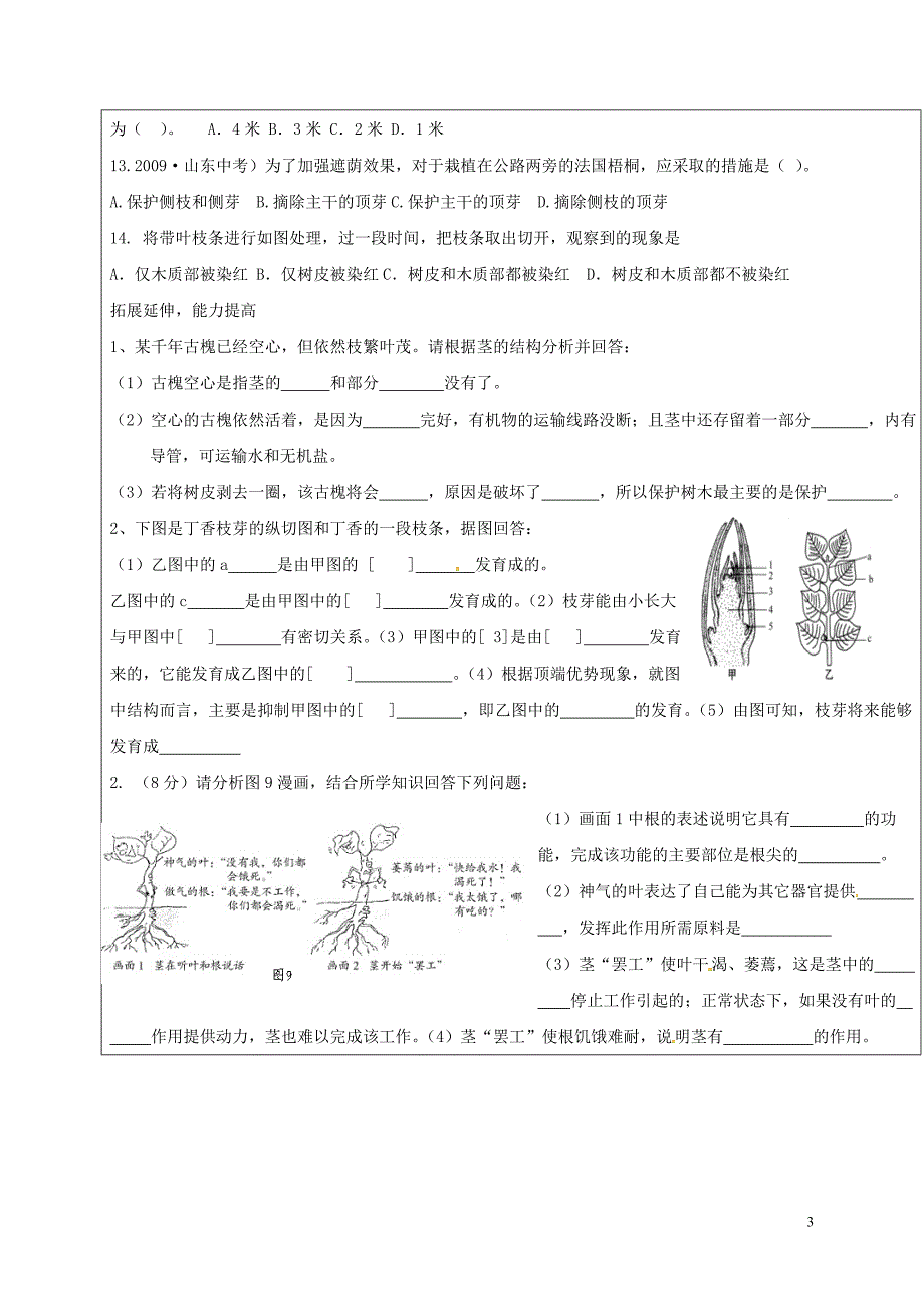 八年级生物4_1_6 芽的类型和发育学案济南版_第3页