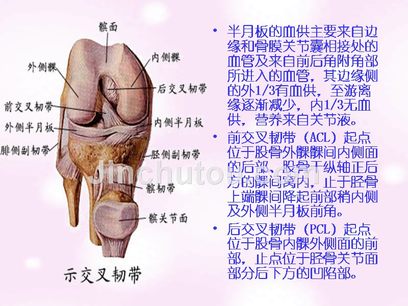 常见膝部关节镜手术及术后康复程序PPT课件_第4页