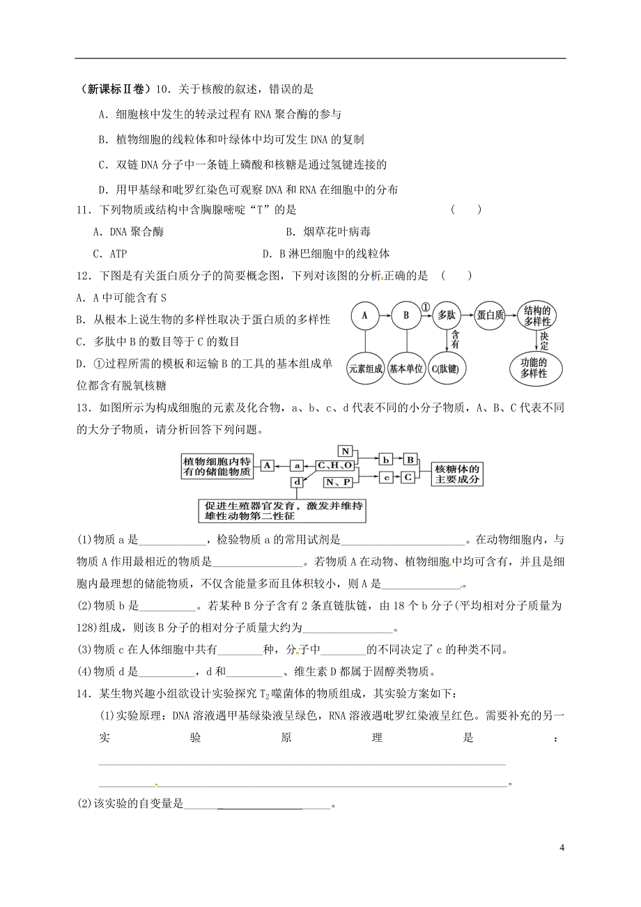 高三生物 核酸复习学案_第4页