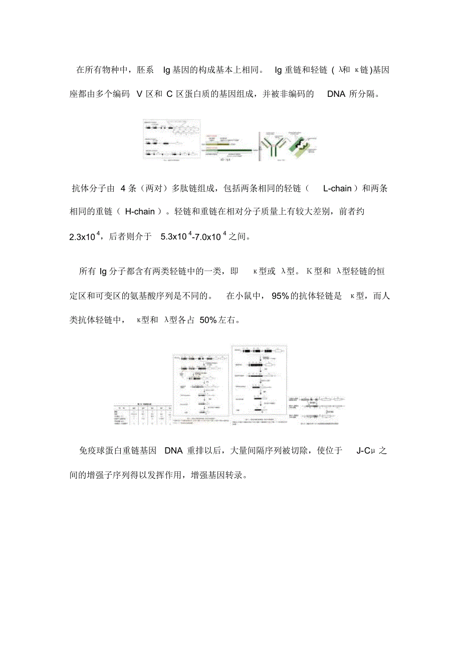 三、基因重排的分子机制_第2页