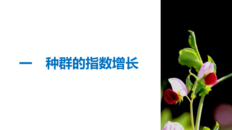 2018-2019版生物新学案同步必修三北师大版课件：第3章 生物群体的动态平衡 第1节 第2课时 _第4页