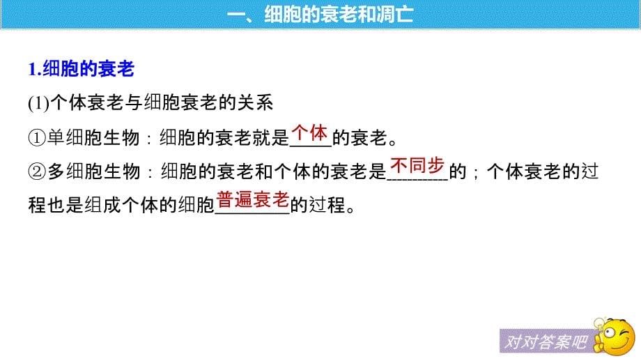 2018-2019版生物新学案同步必修一人教全国通用版课件：第6章 第3、4节　细胞的衰老、凋亡和癌变 _第5页