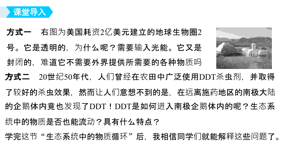 2018-2019版生物新学案同步必修三苏教版课件：第四章 生态系统的稳态 第二节 第2课时 _第3页