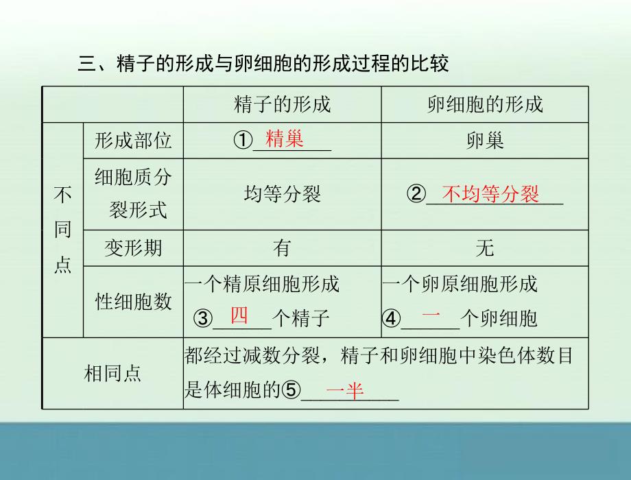 2013高考生物一轮复习之学业水平测试课件专题六考点2配子的形成过程_第2页