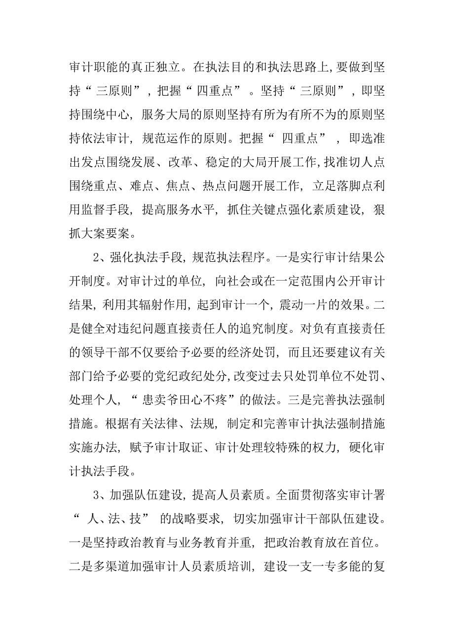 强化审计执法力度经验材料.doc_第5页