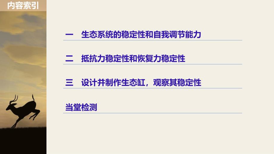 2018-2019版生物新学案同步必修三人教全国通用版课件：第5章 生态系统及其稳定性 第5节 _第4页