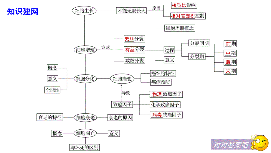 2018-2019版生物新学案同步必修一人教全国通用版课件：第6章 章末总结 _第4页