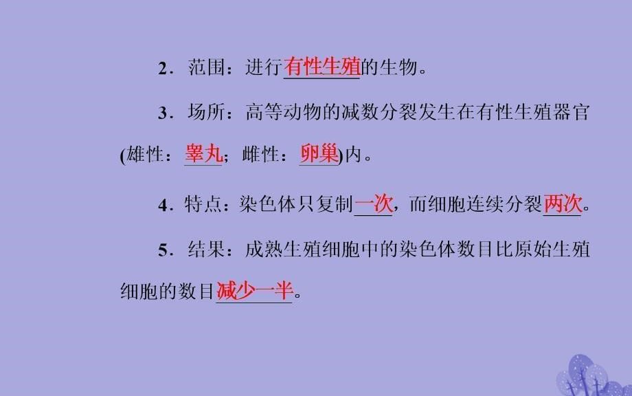 20172018年高考生物_专题六_遗传的细胞基础 考点1 细胞的减数分裂和配子的形成过程课件_第5页