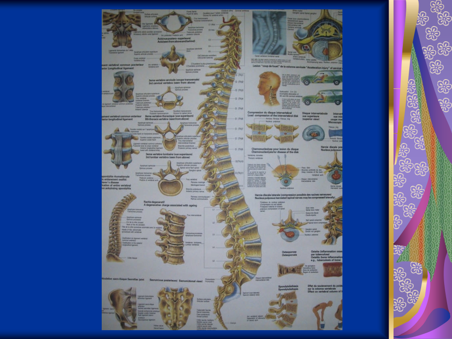 脊髓损伤的康复_第4页