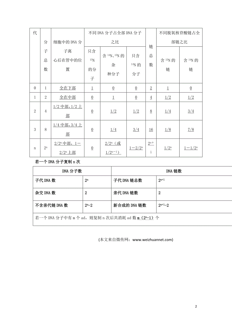 山东省沂水县高中生物 第三章 基因的本质 第三节 dna的复制知识点总结学案 新人教版必修2_第2页