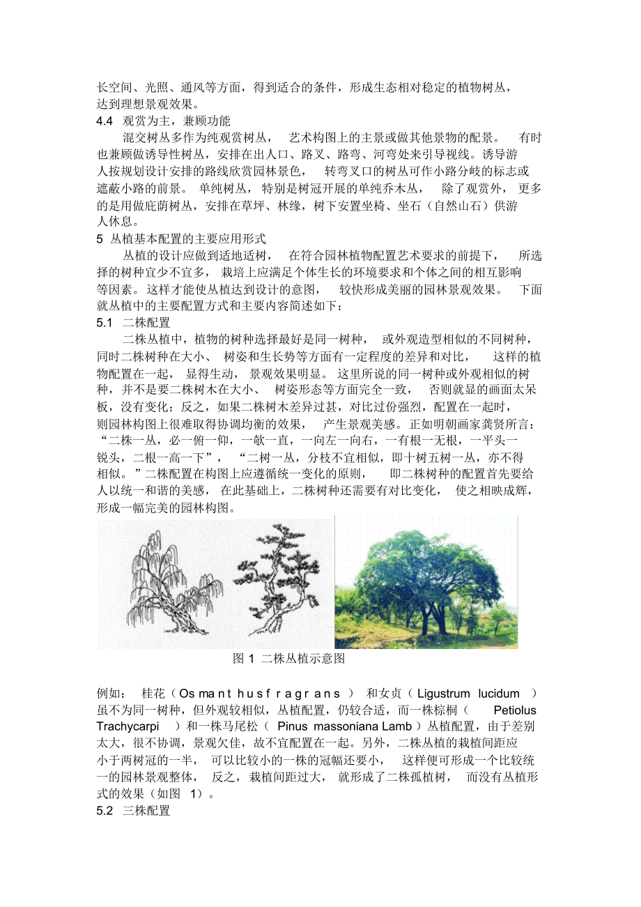 园林绿化中丛植种植类型的应用配置与分析_第2页