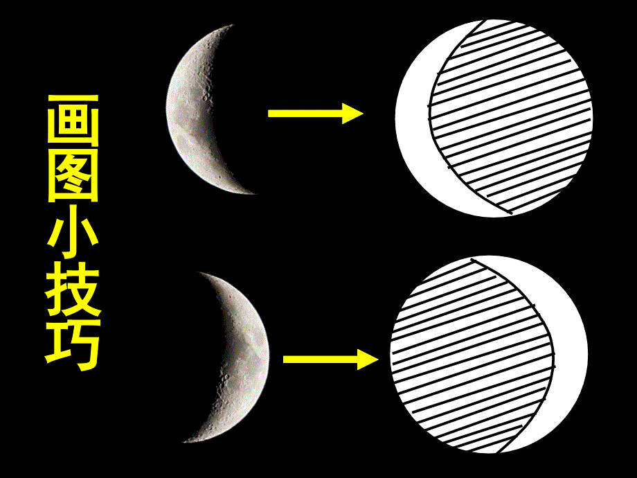 《3月球课件》小学科学粤教粤科2001课标版五年级下册课件_第2页