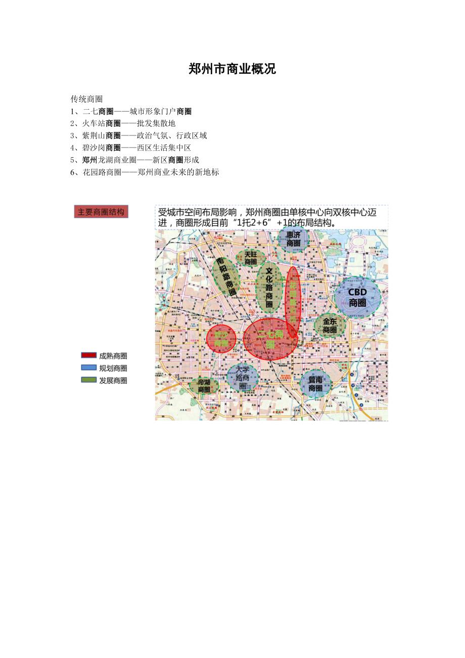 河南郑州丹尼斯花园店市场调研报告书_第1页
